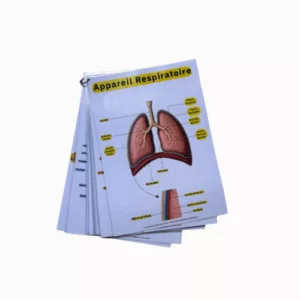 Pack Fiche d’Anatomie – Révision pour Auxiliaire de Puériculture